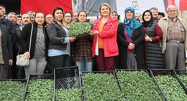İzmit'te sebze üretmeyen köy kalmayacak