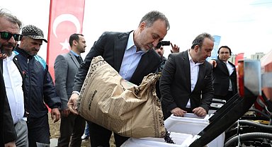 Milli ayçiçekleri Silivri'ye ekiliyor
