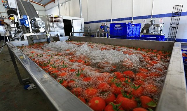 Muğla'nın ürünlerine değer katıyor