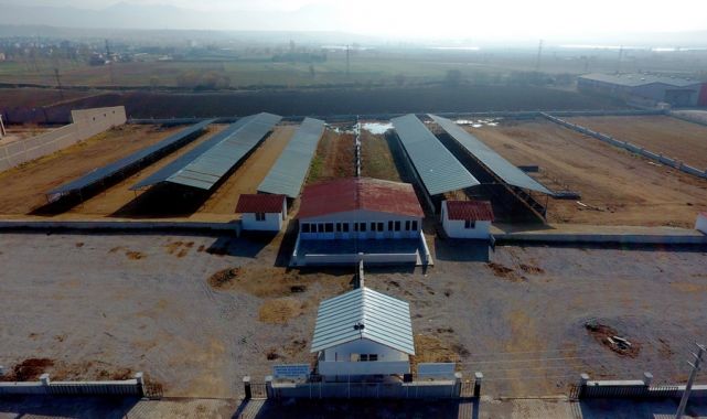 Sandıklı Belediyesi, Yeni Hayvan Pazarı'nı açtı