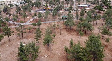 Şanlıurfa yeni ormanlara kavuşuyor