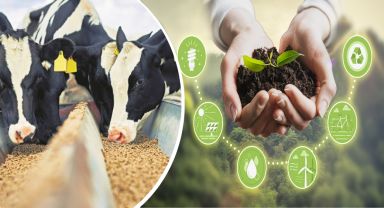 Tarım ve Orman Bakanlığı Çiftçilere 430 Milyon TL Destek Ödemesi Yapıyor