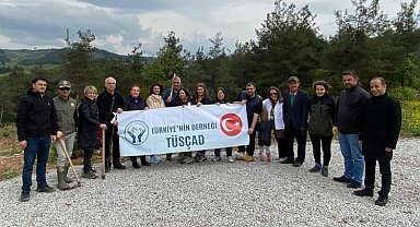 TÜSÇAD 50 bin fidan dikecek