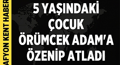 5 Yaşındaki Çocuk Örümcek Adam'a Özenip Atladı
