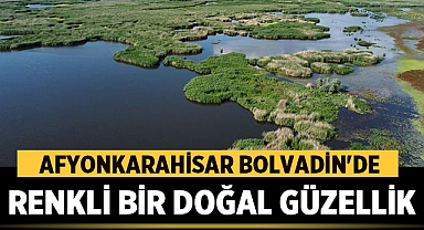 Afyonkarahisar Bolvadin'de Renkli Bir Doğal Güzellik