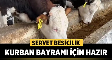 Afyonlu Veteriner Hekim Servet Bayendur: Kurban Bayramı için Hazırız!