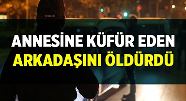 Annesine küfür eden arkadaşını öldürdü