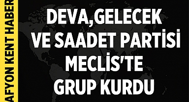DEVA, Gelecek ve Saadet Partisi Meclis'te Grup Kurdu