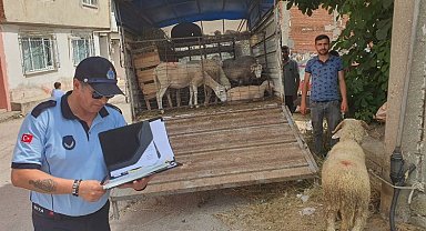 Mahalle arasında kurban satışına izin yok