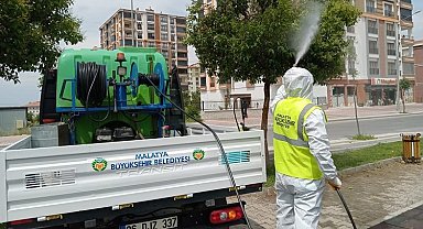 Malatya haşereyle yoğun mücadele veriyor