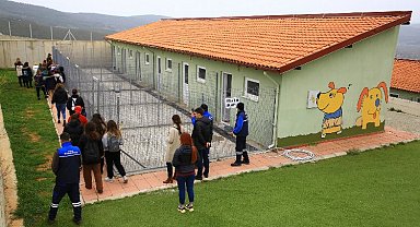 Muğla'da can dostların kapısı...
