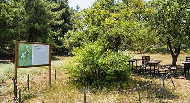 Afrika İzmir'e geldi