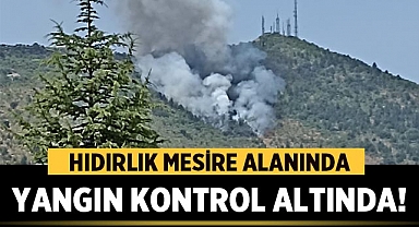 Afyonkarahisar'da Hıdırlık Mesire Alanında Yangın Kontrol Altında!