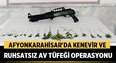 Afyonkarahisar'da Kenevir ve Ruhsatsız Av Tüfeği Operasyonu