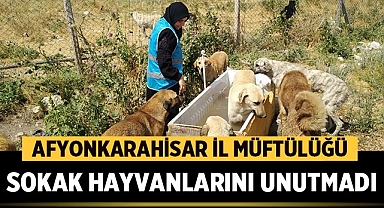 Afyonkarahisar İl Müftülüğü Sokak Hayvanlarını Unutmadı