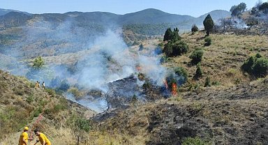 Bilecik Abbaslık'ta orman yangını kontrol altında