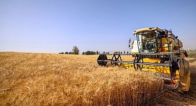 Çiftçilerin buğday sevinci