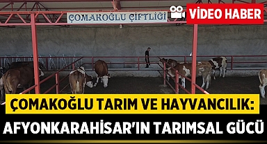 Çomakoğlu Tarım ve Hayvancılık: Afyonkarahisar'ın Tarımsal Gücü