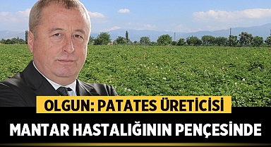 Hakan Şeref Olgun: Patates üreticisi mantar hastalığının pençesinde