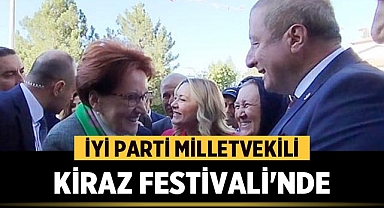 İYİ Parti Afyonkarahisar Milletvekili Kiraz Festivali'nde