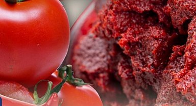 İzmir Efes Selçuk'ta salça zamanı