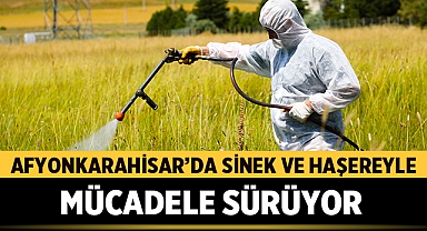 Sivrisineklere Karşı Verilen Mücadelede Afyonkarahisar Belediyesi Öncülük Ediyor!