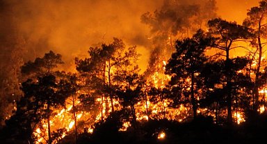 Turizm cenneti alevler içinde kaldı