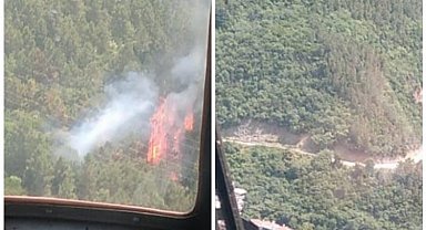 Yalova Çınarcık'taki orman yangını korkuttu