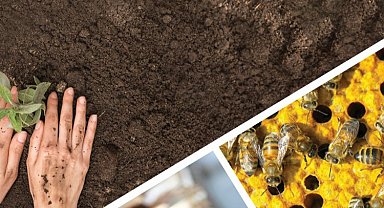 163 milyon TL'lik tarımsal destek ödeniyor