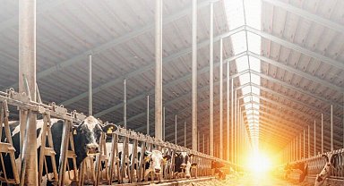 20 milyon Euro hibe desteği!