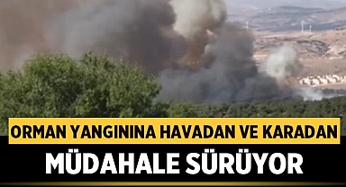 Afyonkarahisar'ın Dinar İlçesinde Orman Yangınına Ekiplerin Havadan ve Karadan Müdahalesi Sürüyor