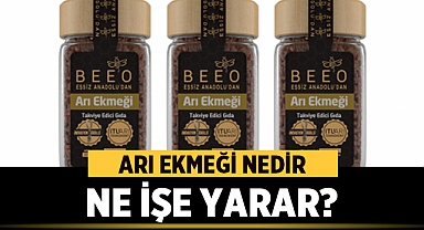 Arı Ekmeği Nedir Ne İşe Yarar?