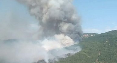 Bilecik kırsalındaki ormanlık alandki yangın kontrol altında