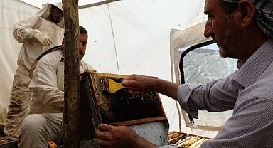 Bingöl'de 2 bin 300 rakımda bal hasadı