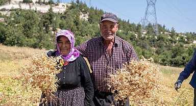 Büyükşehir'den toprağa bereket desteği