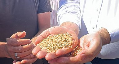 CHP'li Karasu: 1 kilo buğday, 1 bardak çay etmiyor!