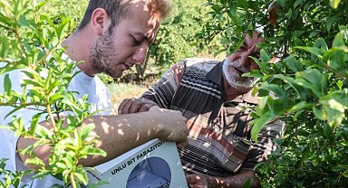 Çiftçilere böcek desteği