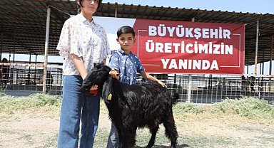 Hayvan üreticilerinin hibe sevinci