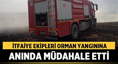 İscehisar İtfaiye Ekipleri Orman Yangınına Anında Müdahale Etti