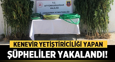 Jandarma Ekipleri, Hocalar'da Yasadışı Kenevir Yetiştiriciliği Yapan Şüphelileri Yakaladı!