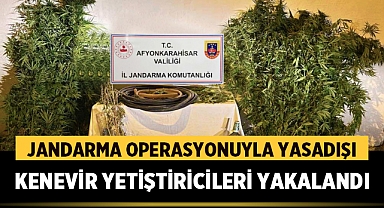 Jandarma Operasyonuyla Yasadışı Kenevir Yetiştiricileri Yakalandı