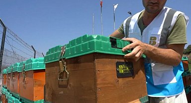 Kadın üreticilere ücretsiz kovan