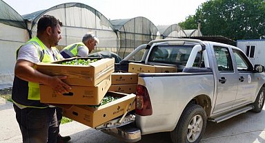 Milas üretiyor ve destekliyor