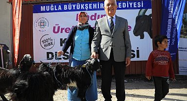 Muğla 'Kıl Keçisi' desteğini sürdürüyor