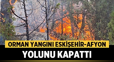 Orman Yangını Eskişehir-Afyonkarahisar Yolunu Kapattı!