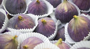 Sarılop ihracatı başladı... En çok Almanlar tercih ediyor