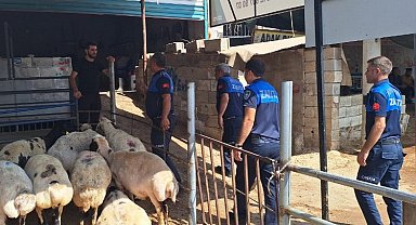 Zabıtadan kaçak kesim uyarısı