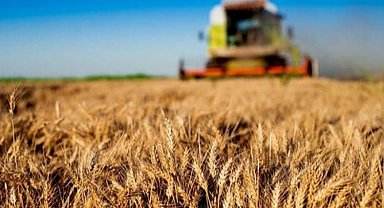 1,5 milyar TL'lik tarımsal destek hesaplara aktarılıyor