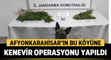 Afyonkarahisar'ın Bu Köyüne Kenevir Üretimi Operasyonu Gerçekleşti