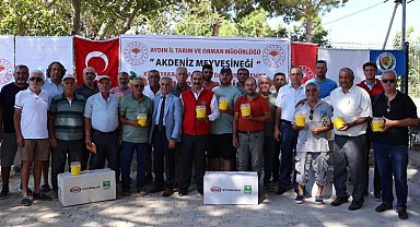 Aydınlı üreticilere Akdeniz Meyve Sineği Tuzağı dağıttı